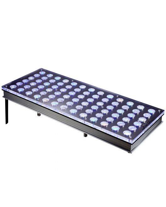 Atlantik iCon LED Light Fixture