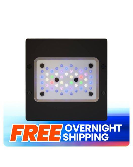 Radion XR15 G6 Pro LED Light Fixture