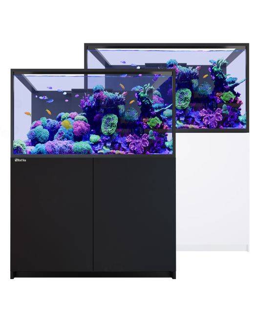 REEFER S-550 G3 Aquarium System (118 Gallons)