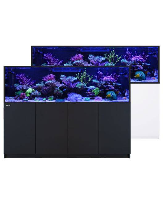 REEFER S-1000 G3 Aquarium System (210 Gallons)