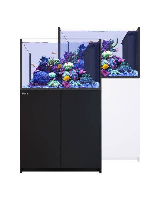 REEFER Peninsula 350 G3 Aquarium System (73 Gallons)