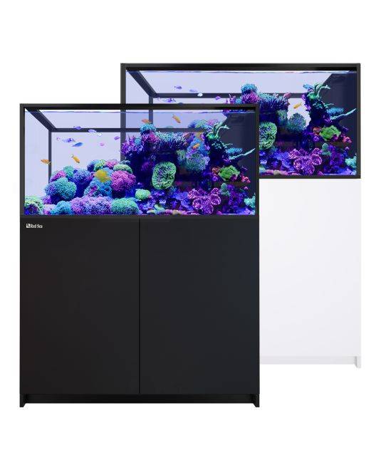 REEFER Peninsula 500 G3 Aquarium System (109 Gallons)