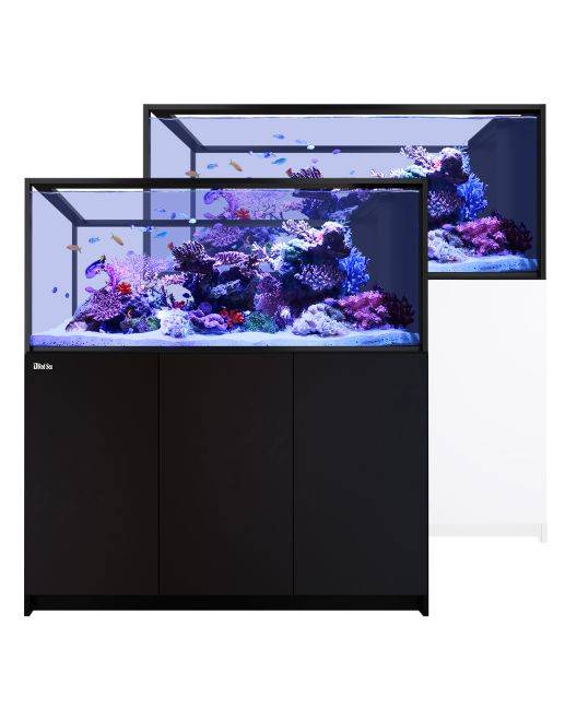 REEFER Peninsula S-700 G3 Aquarium System (150 Gallons)