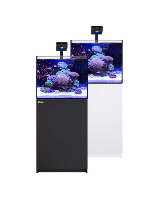 REEFER Deluxe 170 G3 Aquarium System (33 Gallons) (incl. 1 x ReefLED 115)