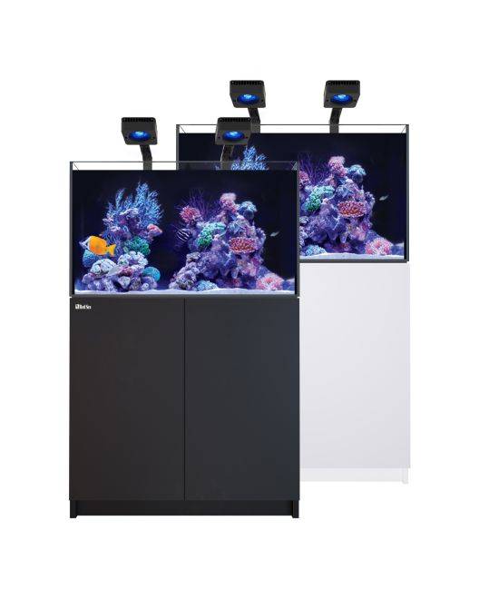 REEFER Deluxe 250 G3 Aquarium System (54 Gallons) (incl. 2 x ReefLED 115)