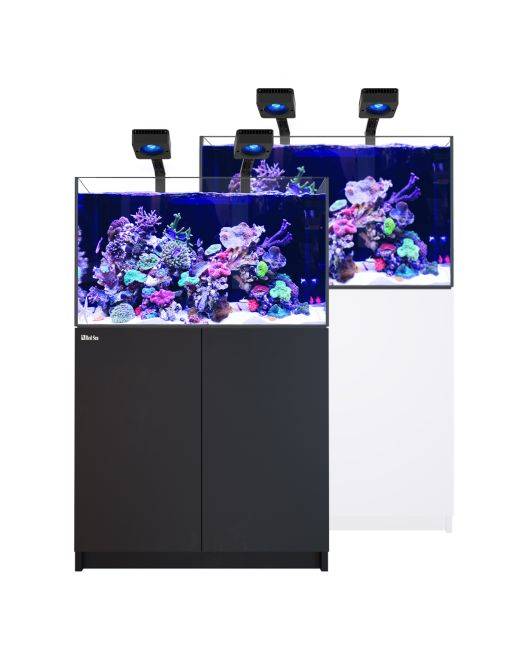 REEFER Deluxe 300 G3 Aquarium System (65 Gallons) (incl. 2 x ReefLED 115)