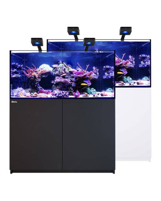 REEFER Deluxe 350 G3 Aquarium System (72 Gallons) (incl. 2 x ReefLED 115)