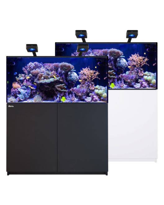 REEFER Deluxe 425 G3 Aquarium System (91 Gallons) (incl. 2 x ReefLED 115)