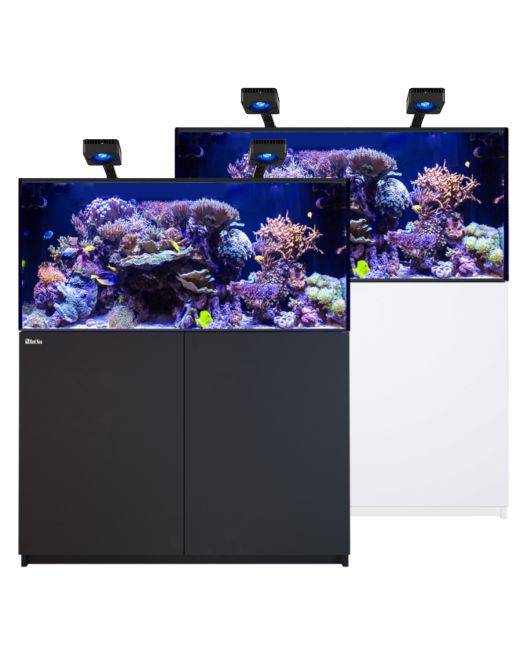 REEFER Deluxe 425 G3 Aquarium System (91 Gallons) (incl. 2 x ReefLED 170)