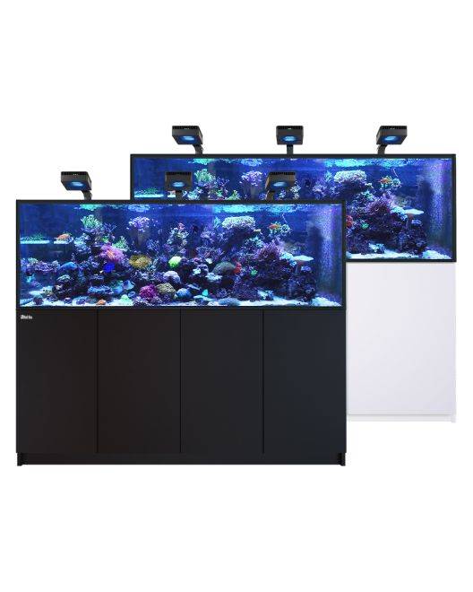 REEFER Deluxe 750 G3 Aquarium System (158 Gallons) (incl. 3 x ReefLED 170)