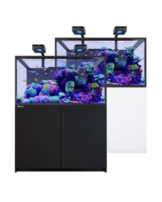 REEFER Deluxe S-550 G3 Aquarium System (118 Gallons) (incl. 2 x ReefLED 170)