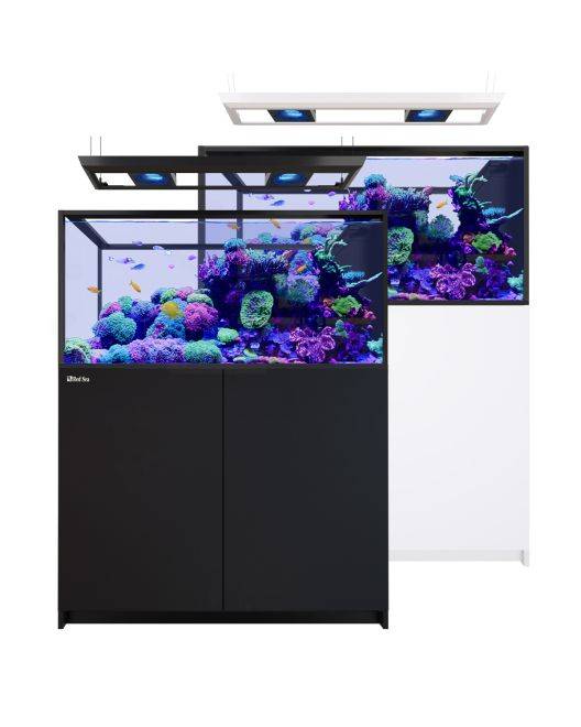 REEFER Deluxe Peninsula 500 G3 Aquarium System (109 Gallons) (incl. 2 x ReefLED 170)