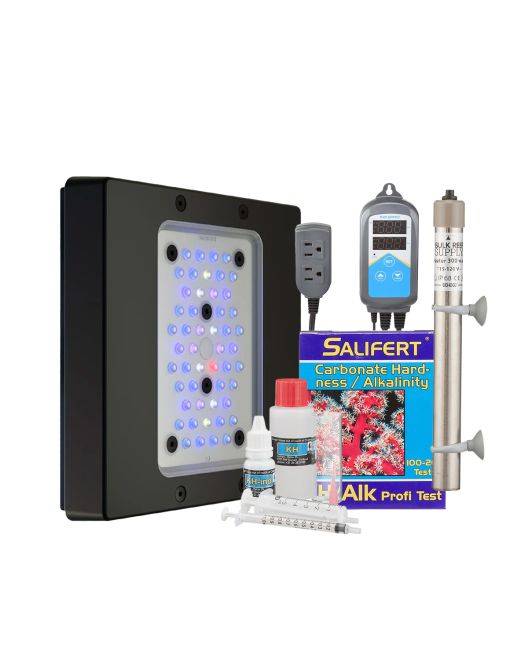 Radion XR15 G6 Blue LED Light Fixture - Heater/Controller Holiday Bundle