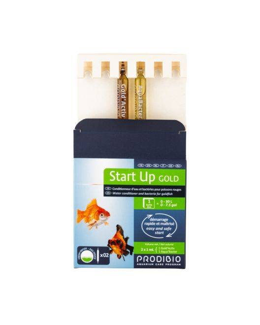 Start Up Goldfish