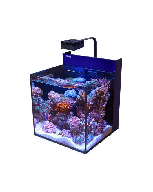 MAX NANO G2 Cube Aquarium (20 Gal)
