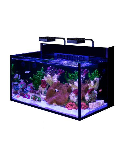 MAX NANO G2 XXL Aquarium (53 Gal)