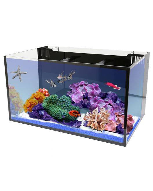 20 NUVO Fusion AIO Long Aquarium
