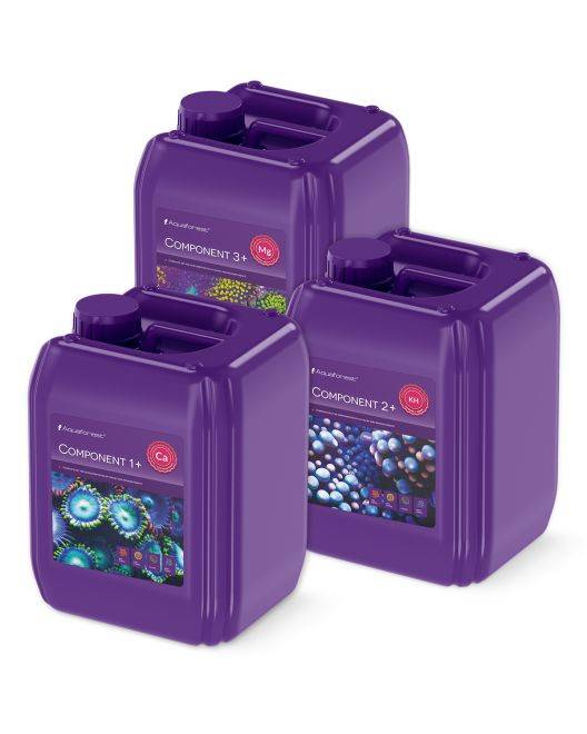 Component 1+, 2+, 3+ Bundle