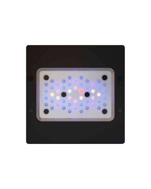 Radion XR15 G6 Blue LED Light Fixture (OPEN BOX)
