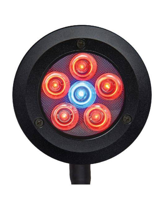 Pico LED Light Fixture 2023 Model - Refugium (OPEN BOX)