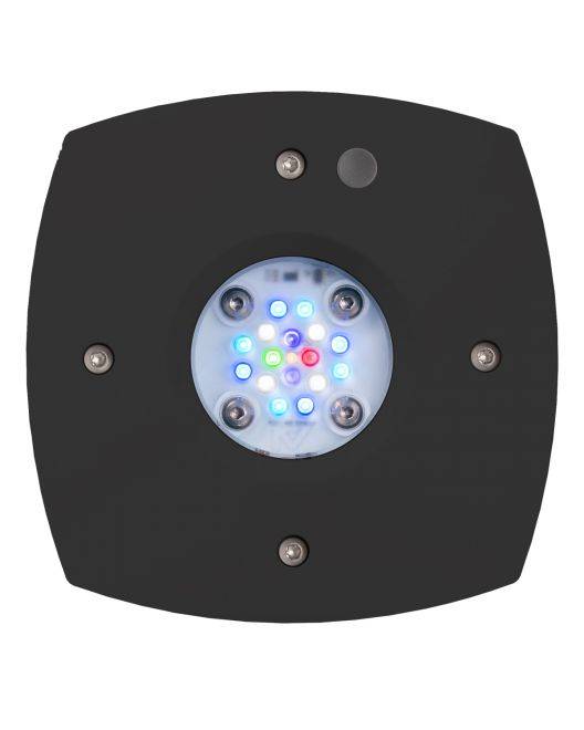 Prime 16 HD LED Reef Light - Black Body