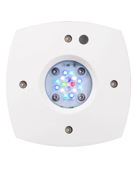 Prime 16 HD LED Reef Light - White Body