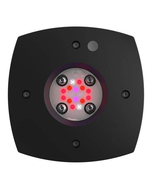 Prime 16 LED Fuge Light - Black Body