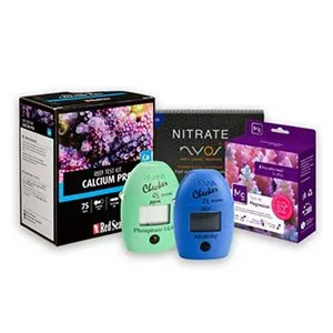 Controllers & Testing