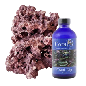 Aquascaping & Coral Propagation