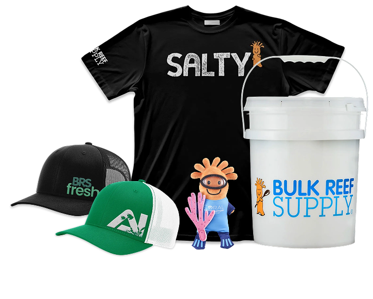 10% Off BRS Merchandise & Lifestyle Products