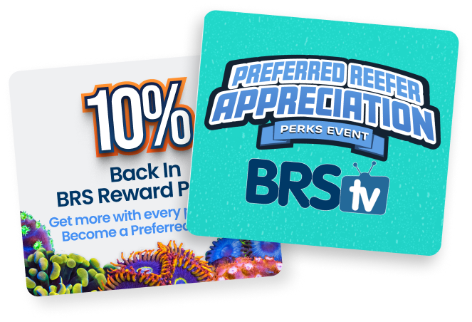 Exclusive Promotions, Contests & Giveaways