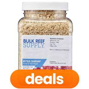 Fish & Coral Food On Sale