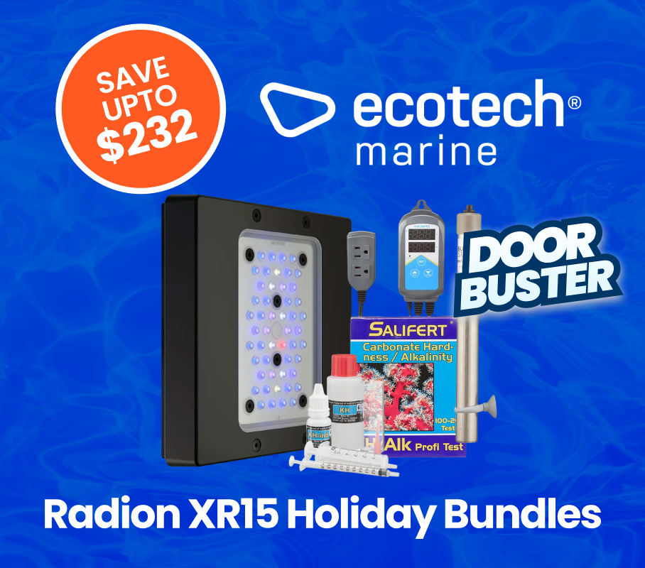 Radion XR15  Holiday Bundles