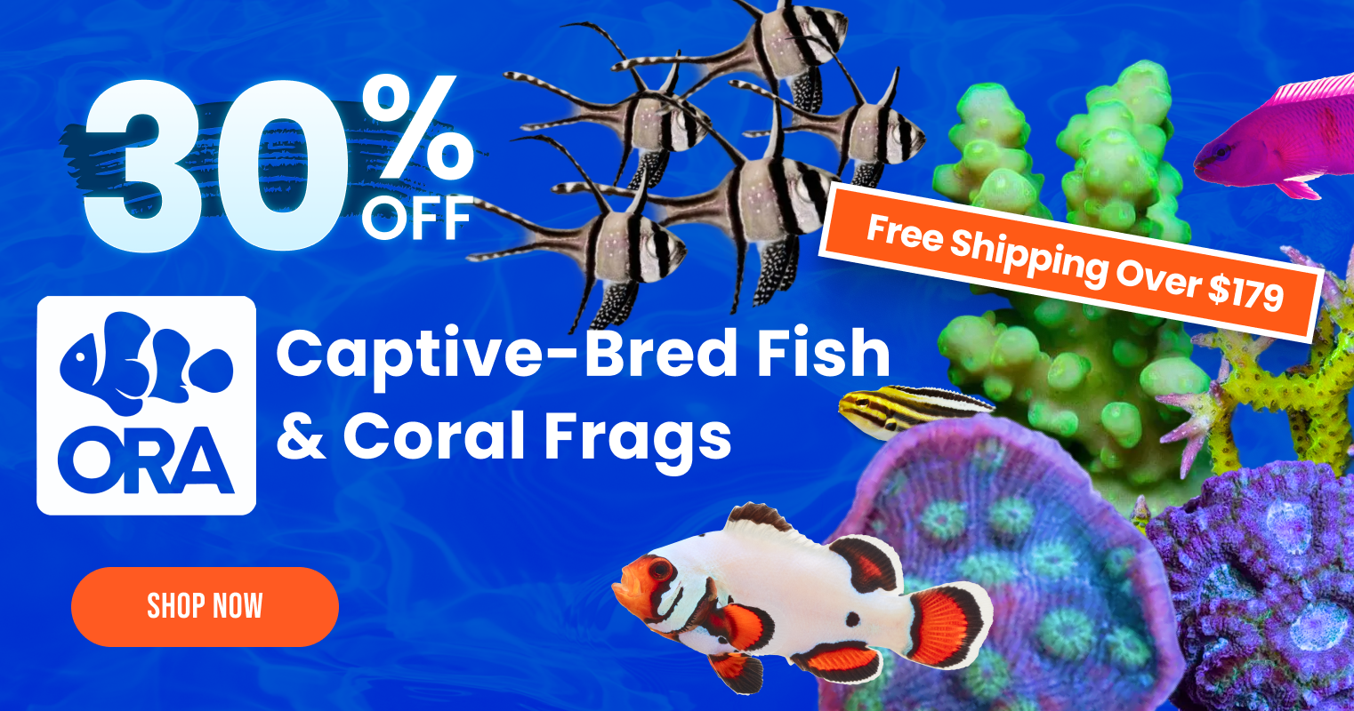 ORA Brandwide - Captive-Bred Fish & Corals