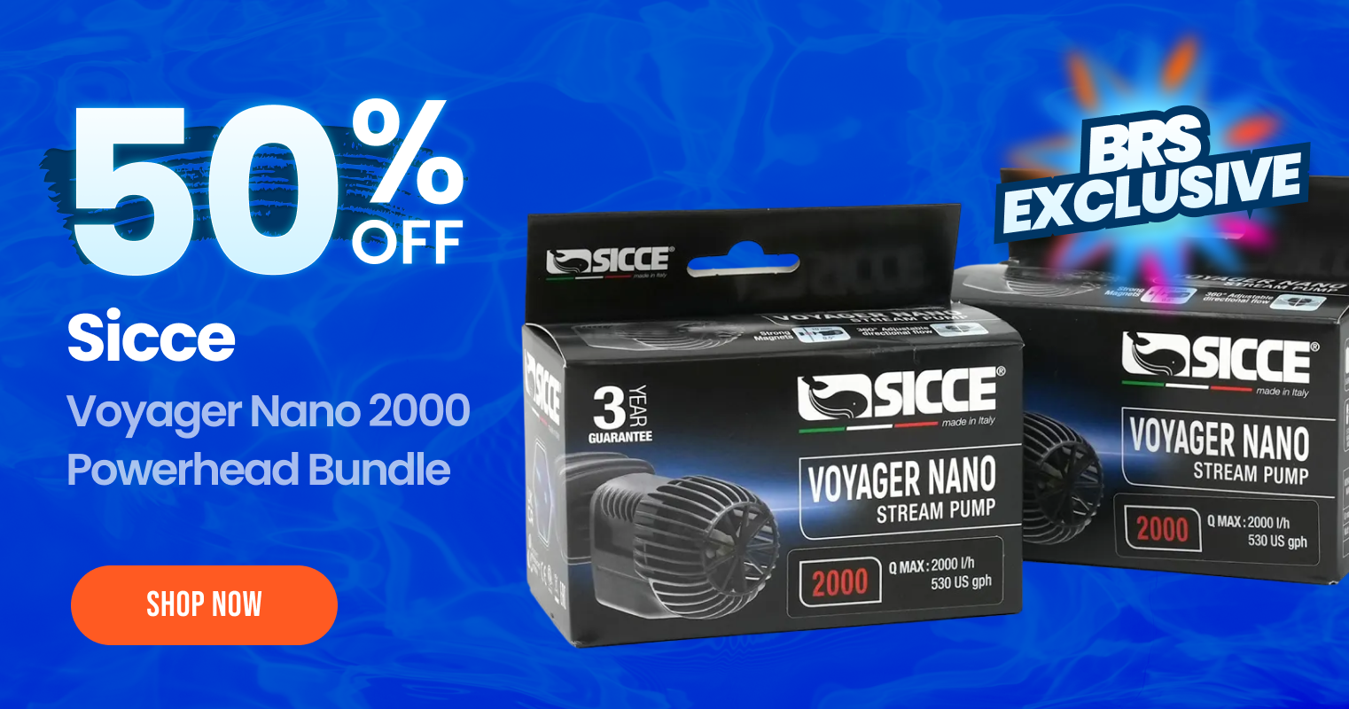 Sicce Voyager Bundle