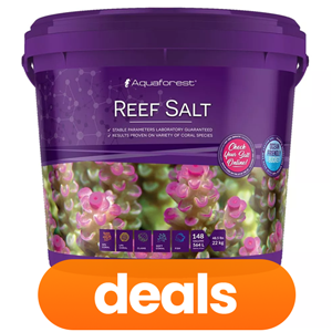 Salt & Maintenance On Sale