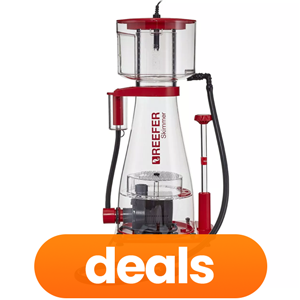 Protein Skimmers On Sale