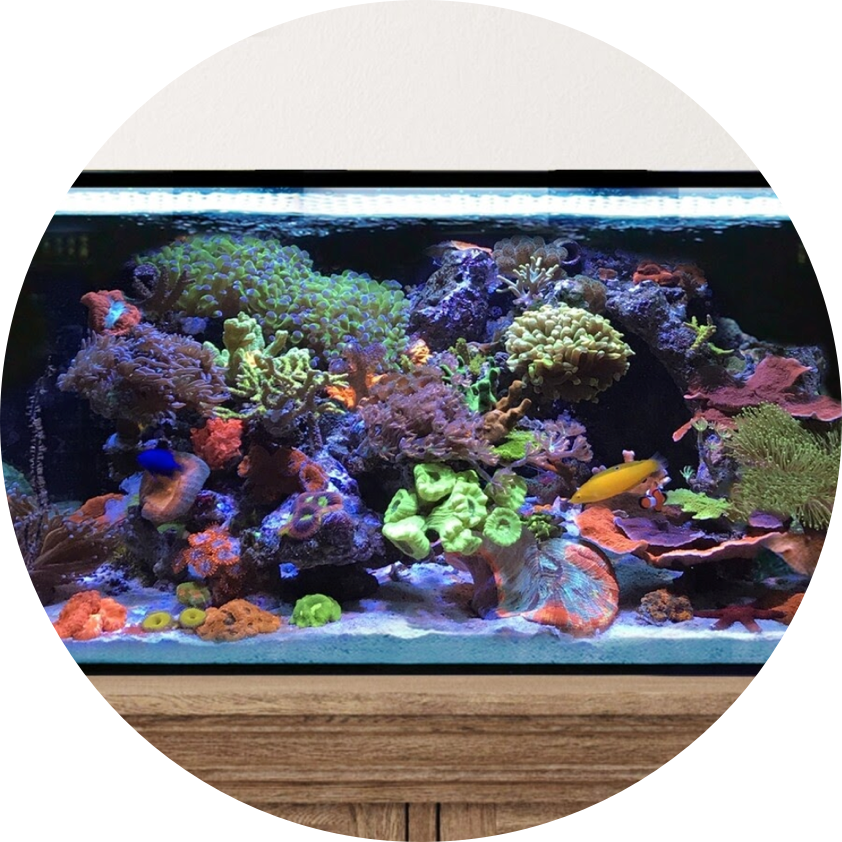 It really is easier than you think!