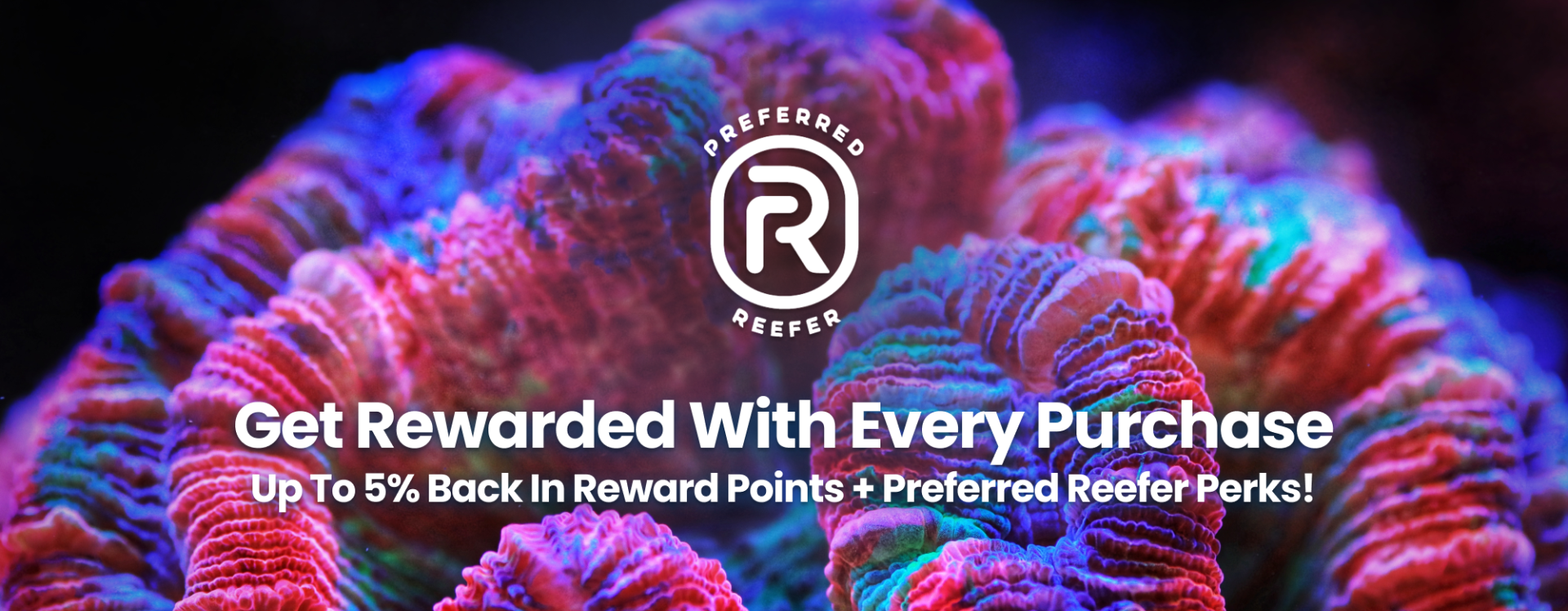 Sign Up for Preferred Reefer Program